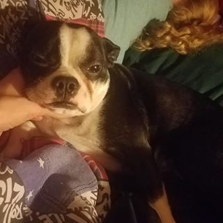 Profile Picture of Davis Boring (@Davis-Boring) on Facebook