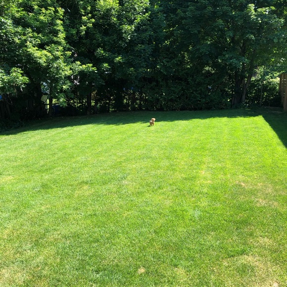 Leah Swales - Poshmark Profile Picture of Leah Swales (@leahswales) on Poshmark