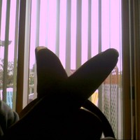 Profile Picture of Phoebe Ward (@phoebe-ward-12) on Quora