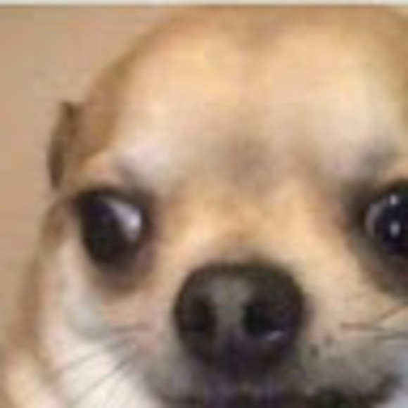 Profile Picture of Ritam Chatterjee (@ritamchatterjee) on Poshmark