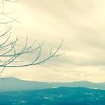 Profile Picture of Jimmy Park (@ji_mm_y__pa_rk) on Instagram