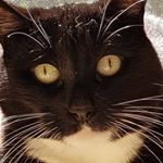 Profile Picture of Sam Grimes (@grimezyisdead) on Instagram