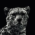 Profile Picture of 𝗗𝗔𝗩𝗜𝗗 𝗠𝗘𝗜𝗦𝗧𝗘𝗥 (@davidmeisterenergy) on Instagram