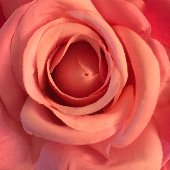 Profile Picture of Kate Mcquaid (@km1976417) on Poshmark