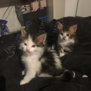 Profile Picture of Annick Auffinger Schwenk (@annick.auffingerschwenk) on Facebook