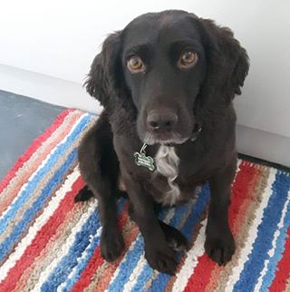 Profile Picture of Colin Bessey (@colin.bessey.1) on Facebook