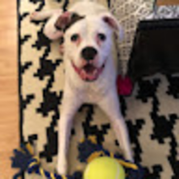 Amy Cravotta - Poshmark Profile Picture of Amy Cravotta (@aland222) on Poshmark