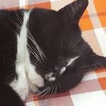 Profile Picture of Marie Christine Stutz (@mariechristinestutz) on Instagram