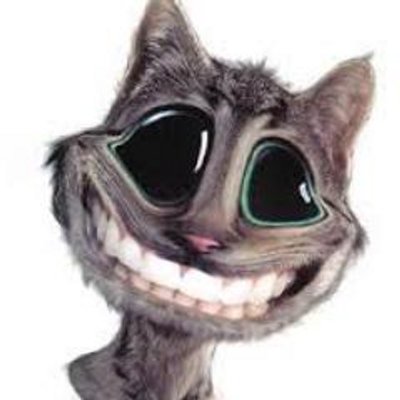 Jennifer Fonseca - Twitter Profile Picture of Jennifer Fonseca (@jenniferfonsef) on Twitter