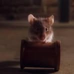 Profile Picture of Greg Summerfield (@greg.summerfield.146) on Facebook