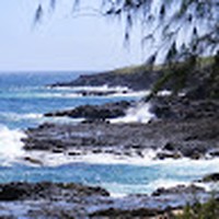 Profile Picture of Sherrie Alley (@sherrie-alley-1) on Quora