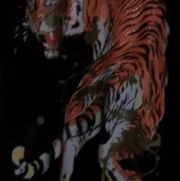 Profile Picture of Paul Goodman (@goodmanpaul901) on Poshmark