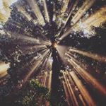 Profile Picture of Dunkey_7even_blck_officiel (@dunke_y) on Instagram