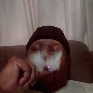 Profile Picture of Carl McCoy (@carlmccoy1969) on Twitter