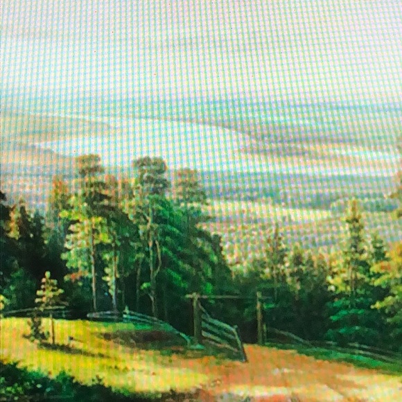 Profile Picture of Joshua Welch (@nanashah810) on Poshmark