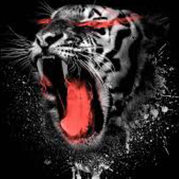 Jackson Lopez - Poshmark Profile Picture of Jackson Lopez (@jacksonlopez474) on Poshmark