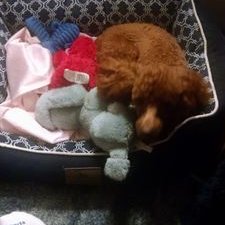 Profile Picture of Robin Garner (@inchrist7777) on Twitter