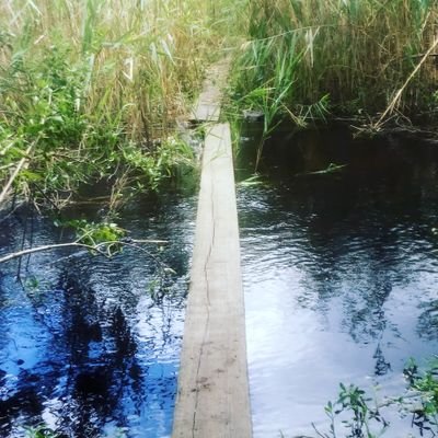 Profile Picture of Brian Millington (@BrianMillingt10) on Twitter