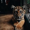 Profile Picture of BrianLenhart143 (@brianlenhart143) on Tiktok