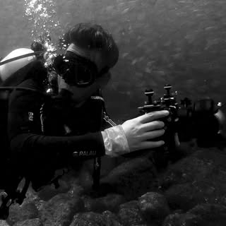 Profile Picture of David von Blohn (@davidvonblohn) on Instagram