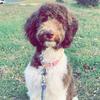Profile Picture of Jenna Wise Buffa (@@jennawisebuffa) on Tiktok