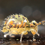 Profile Picture of Thomas Cunningham (@t0p cat) on Flickr