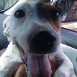 Profile Picture of danielbonomo (@danielitalia2005) on Instagram