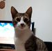 Profile Picture of Daniel Fiori (@daniel.fiori.184) on Facebook