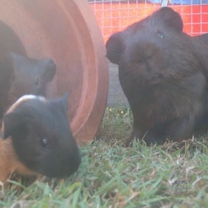 Profile Picture of Bryce Oliver (@bryceoliver) on Myspace