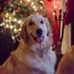 Profile Picture of Sheila Sampson (@sheila.sampson.739) on Facebook
