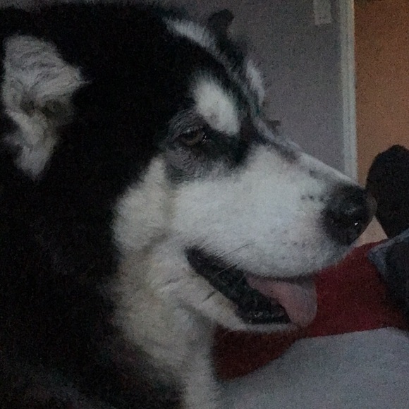 Tammy Trydal - Poshmark Profile Picture of Tammy Trydal (@ttrydal) on Poshmark