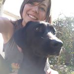 Profile Picture of Rachel Seibert (@rachelseib) on Instagram