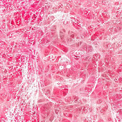 Profile Picture of Amber Crawford (@ambercrawford439) on Youtube