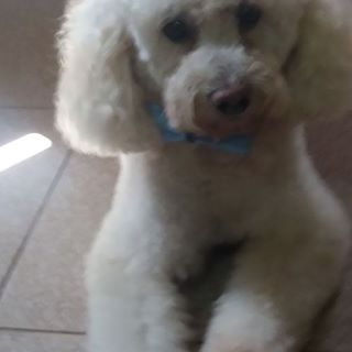 Profile Picture of Miguel Valiente (@miguel.valiente.52831) on Facebook