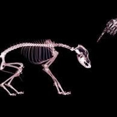 Profile Picture of Mark Morton (@MortonM) on Twitter