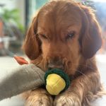 Profile Picture of Nancy Frost (@nancyfrost38) on Instagram