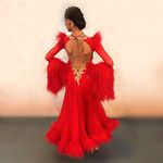 Profile Picture of DRESSES for DANCESPORT ♥️ (@ballroomdressesmarket) on Instagram