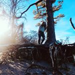 KyLee Simpson - Instagram Profile Picture of KyLee Simpson (@kyleeee_s) on Instagram