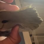 Profile Picture of Kevino Grecco (@Kevino-Grecco) on Facebook