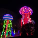 Chase Grady - Facebook Profile Picture of Chase Grady (@chase.grady.2025) on Facebook