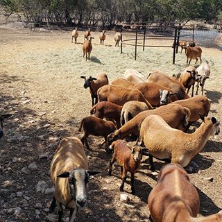 Profile Picture of Blu Feighert II (@daniel.feighertii.5) on Facebook