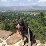 Profile Picture of John Kishbaugh (@slayer2314) on Instagram