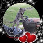 Profile Picture of Richard Stowe Jr. (@stowejr.richard) on Instagram