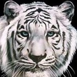 Patrice Boyer - Instagram Profile Picture of Patrice Boyer (@boyerpatrice27) on Instagram