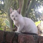 Profile Picture of Jackie Josh (@jackiejosh9681) on Instagram