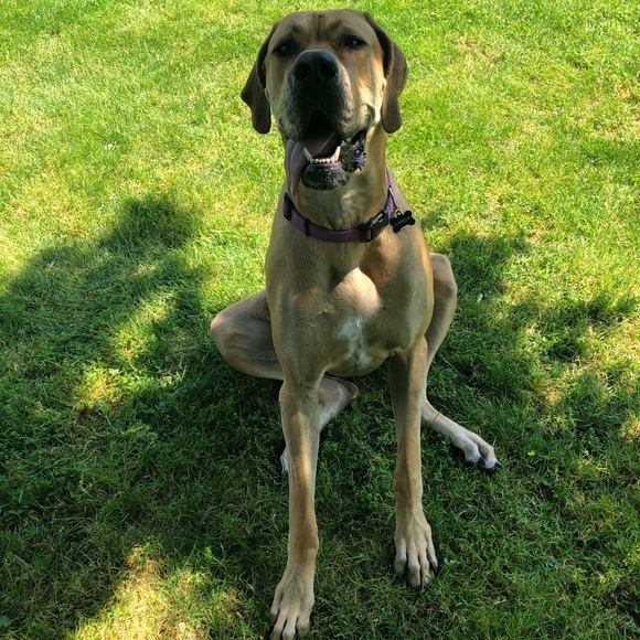 Profile Picture of Danielle Drennen (@danielled2314) on Poshmark