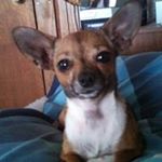 Profile Picture of Jerry Dowling (@jddowling1954) on Instagram