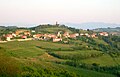 Profile Picture of Gorizia Hillson Wikipedia