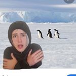 Profile Picture of Et pas michel polnareff (@paul_nord_off) on Instagram