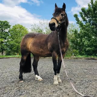 Profile Picture of Jo Hardy (@hardy.jo) on Instagram